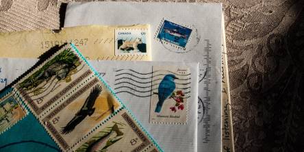 How many stamps do I need to send a letter or package? 